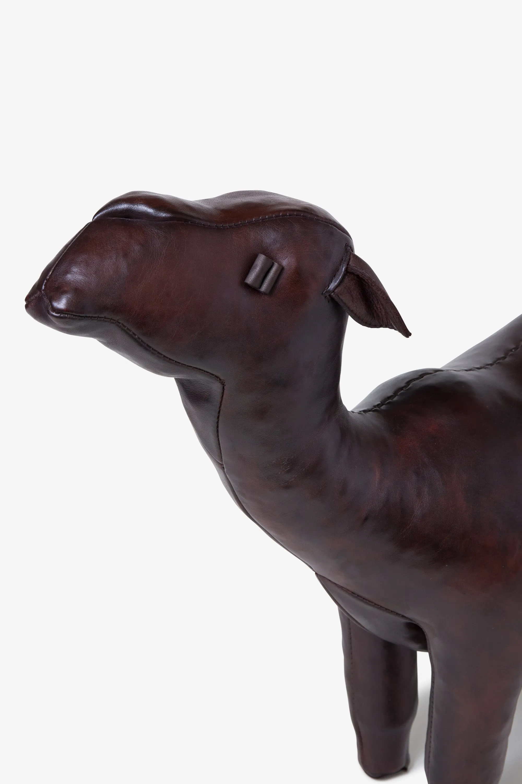 OMERSA CAMEL STANDARD PRE sold by SwTRAS product image thumbnail 2