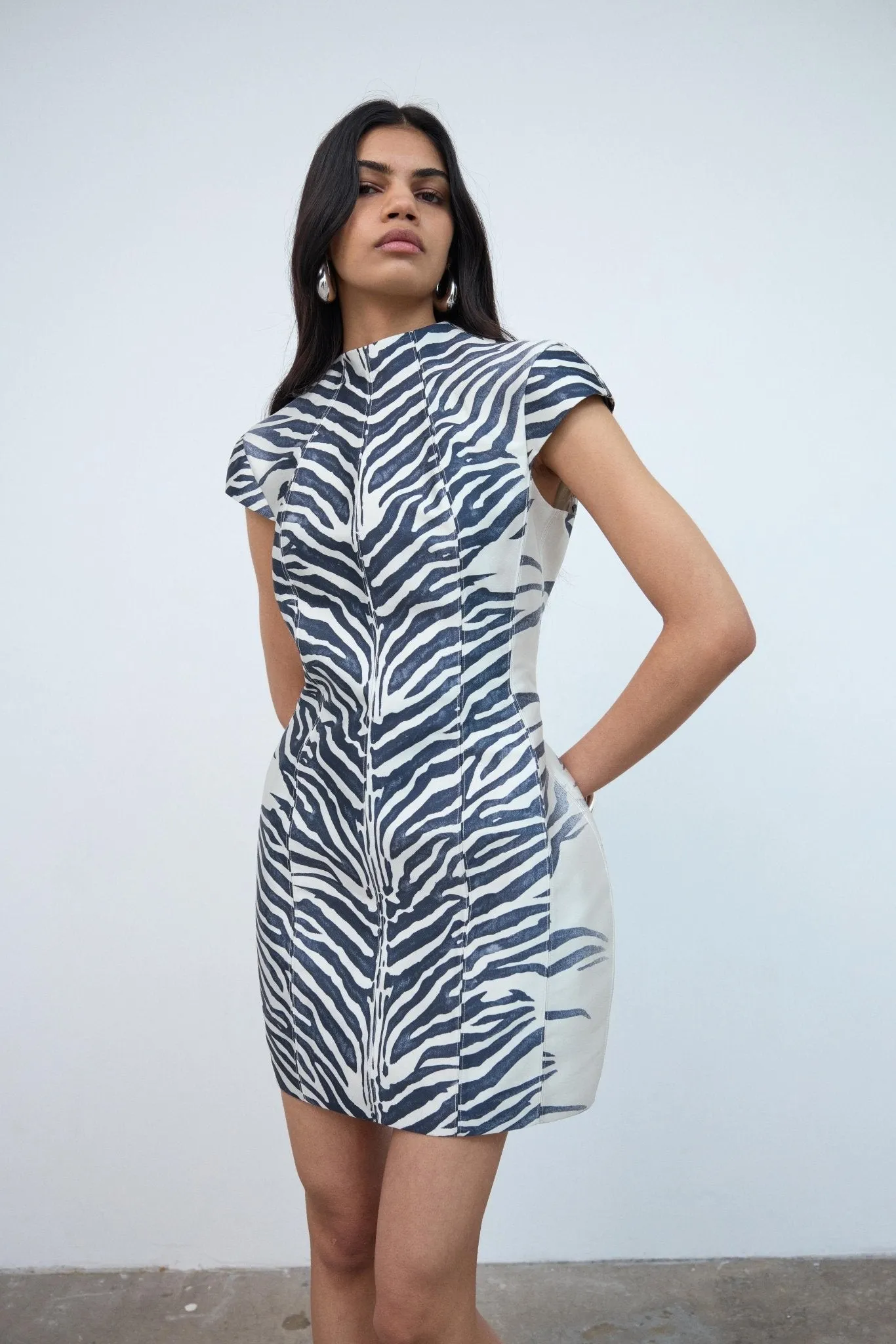 ZENA MINI DRESS IN ZEBRA PRINTED TWILL sold by De La Vali product image thumbnail 3