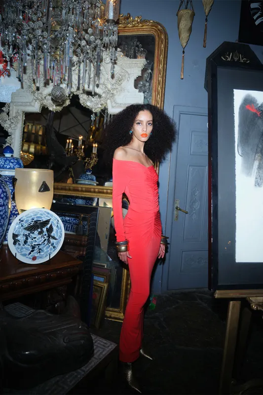 BARBARA DRESS IN DRAGON made by The New Arrivals Ilkyaz Ozel