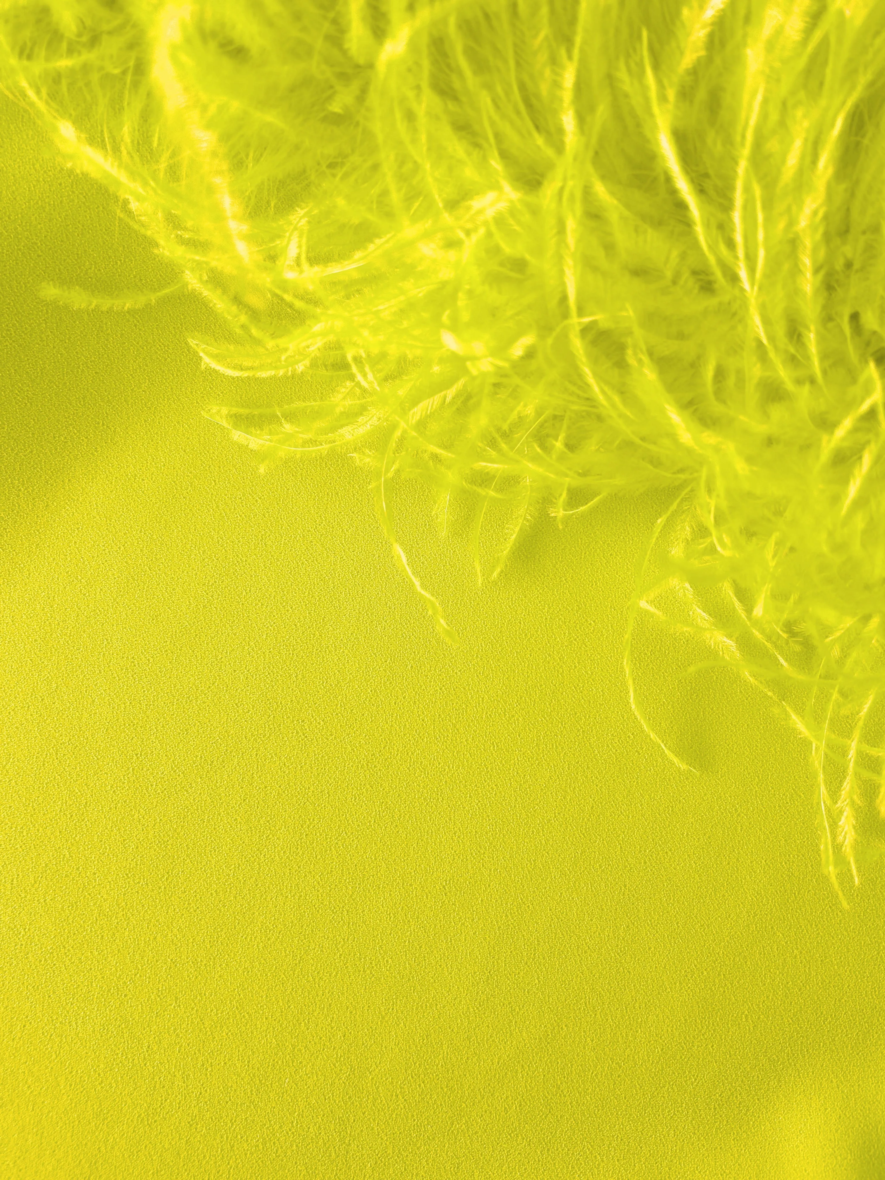 CYNTHIA IN ACID LIME sold by The New Arrivals Ilkyaz Ozel product image thumbnail 4