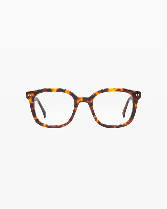 The Celeste made by Jimmy Fairly