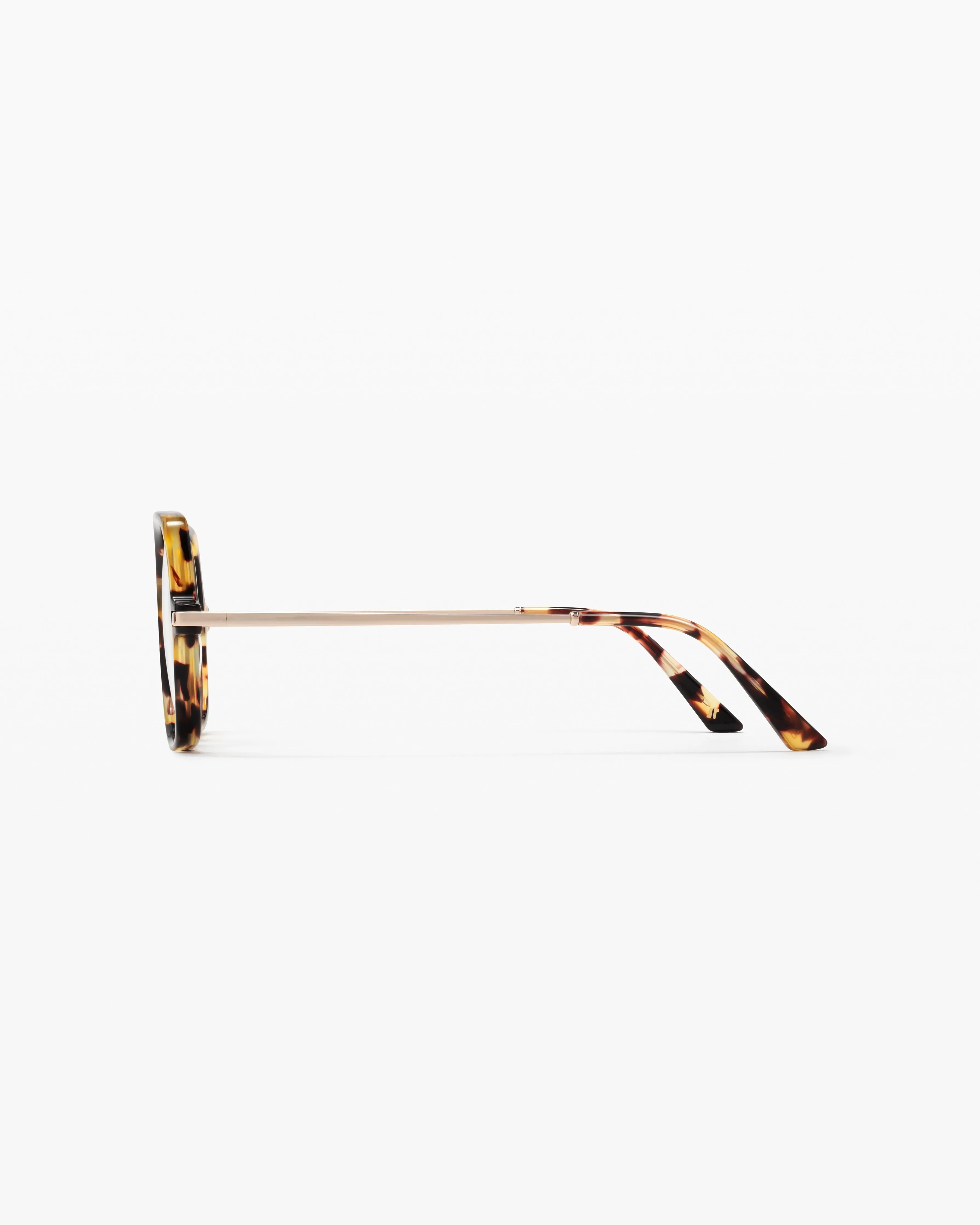 The Dimby XL sold by Jimmy Fairly product image thumbnail 2