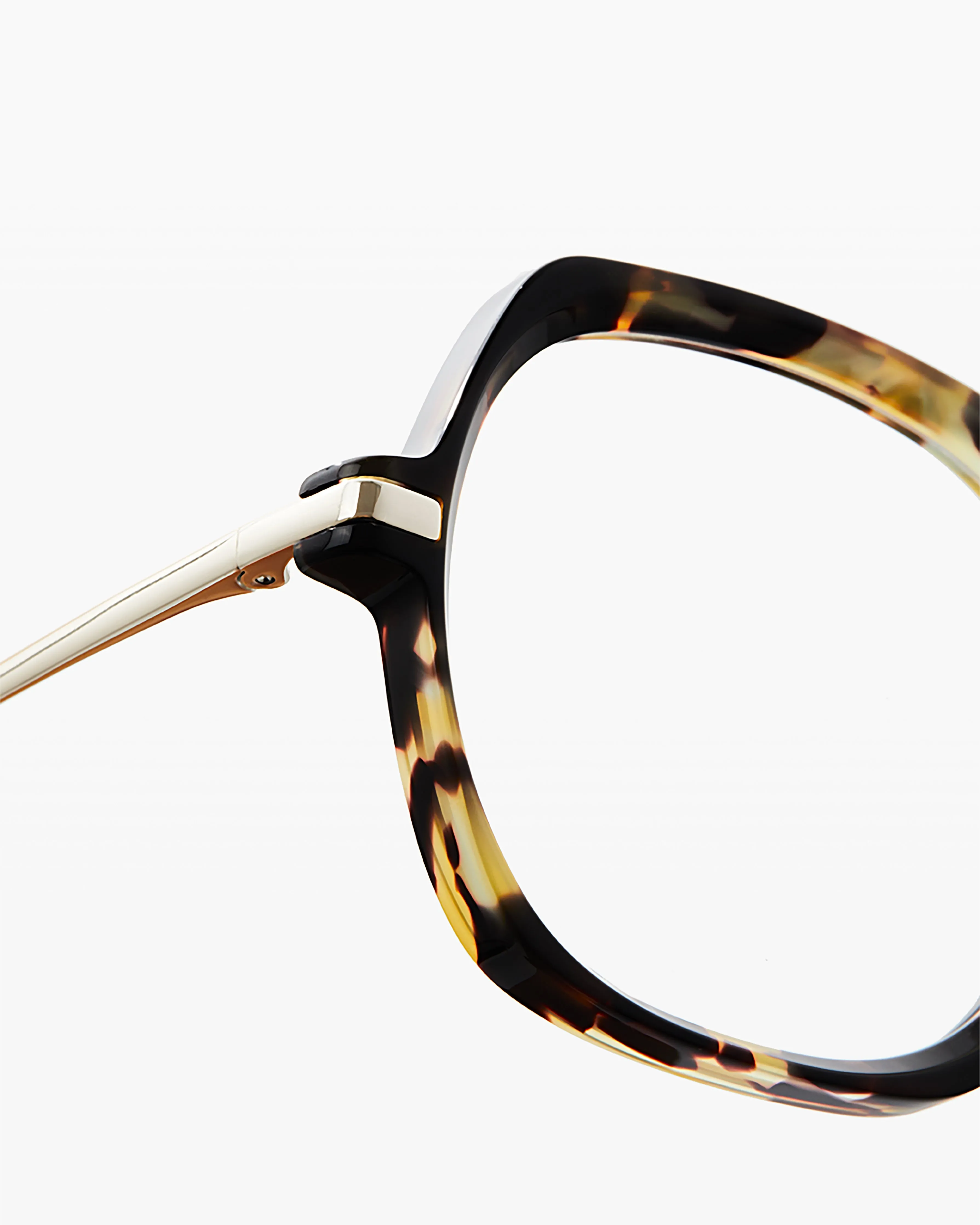The Dimby XL sold by Jimmy Fairly product image thumbnail 3