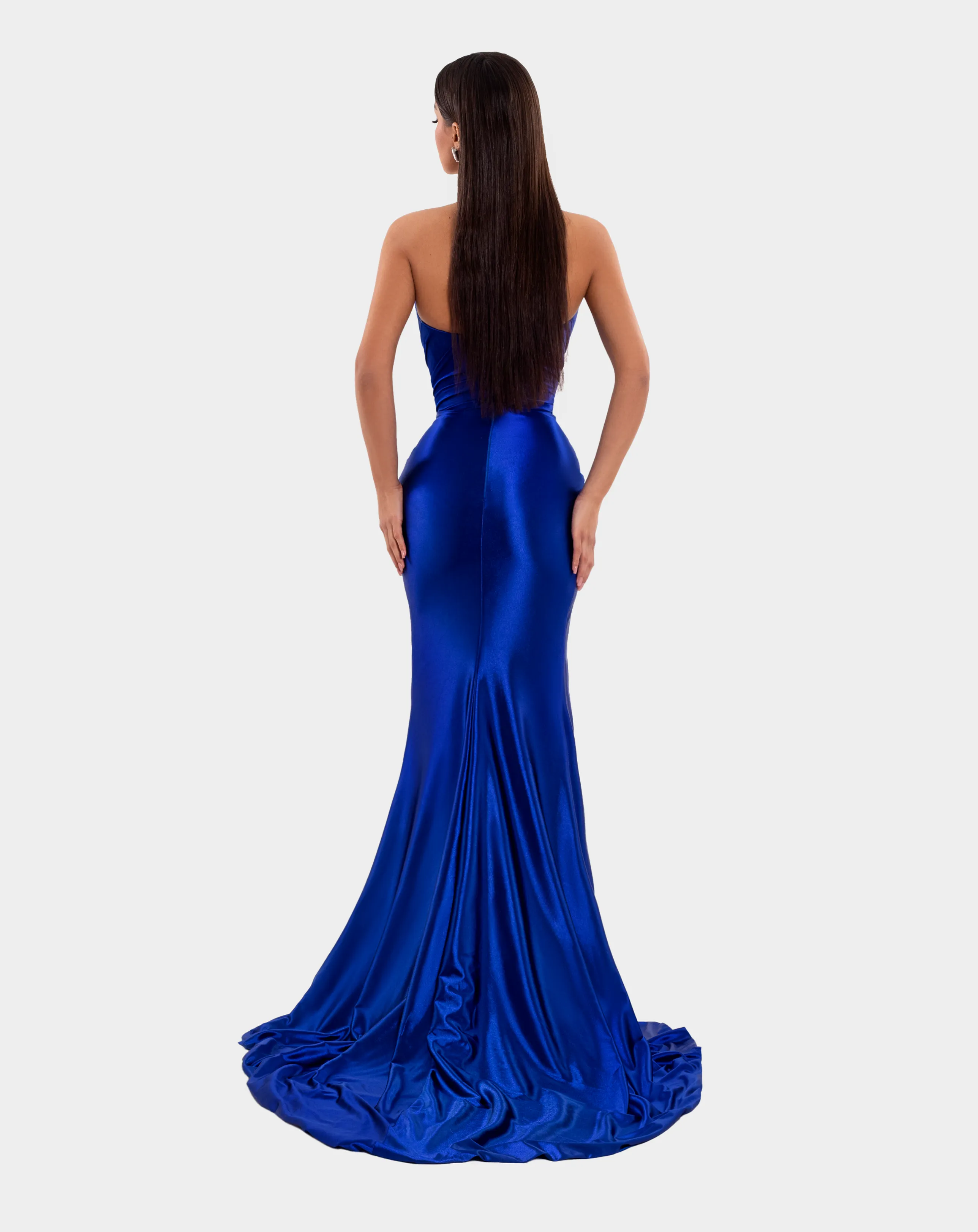 LONG TAIL DRESS (Limited Availability) sold by Albina Dyla product image thumbnail 2