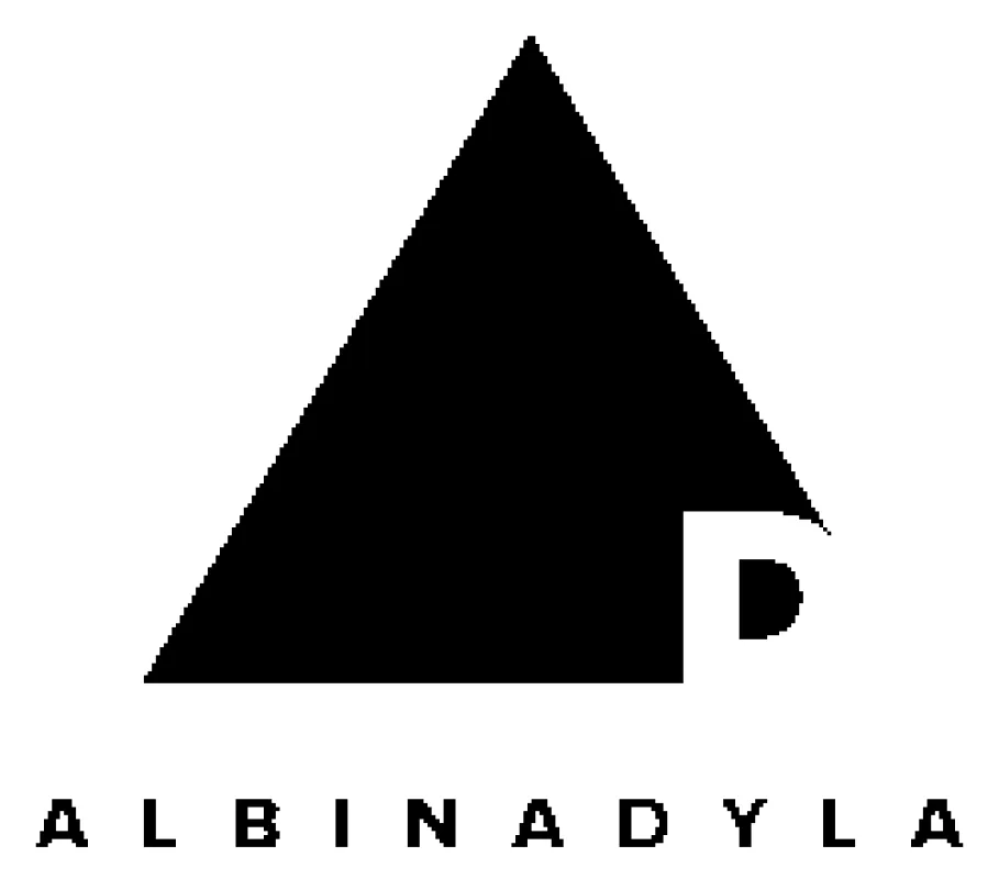 Celestial Shimmer Gown made by Albina Dyla