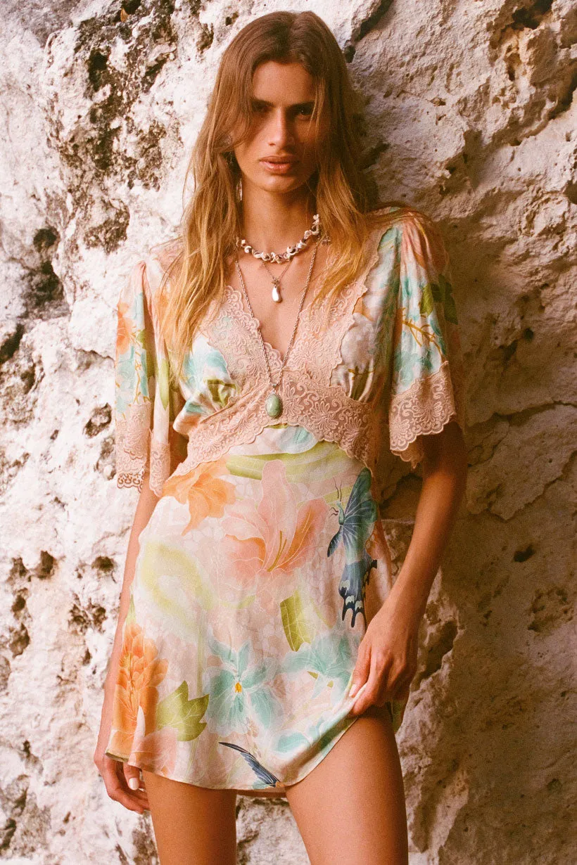 Painter's Garden Lace Mini Dress sold by Spell product image thumbnail 2