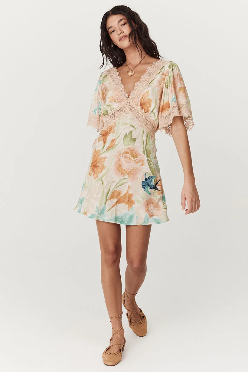 Painter's Garden Lace Mini Dress sold by Spell product image thumbnail 4