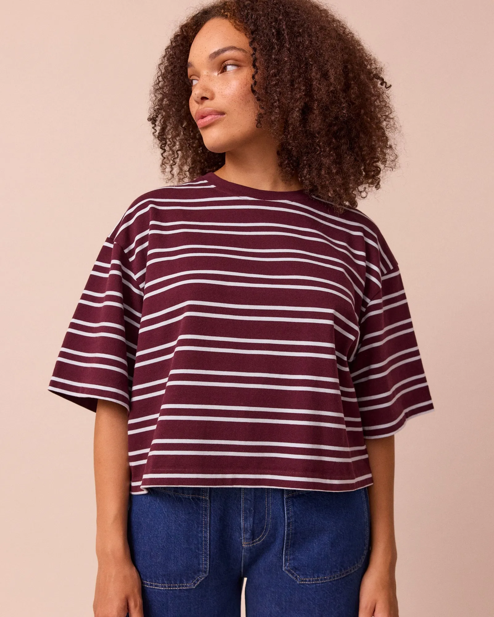 Nova Burgundy & Sky Stripe Jersey T-Shirt sold by Beyond Nine