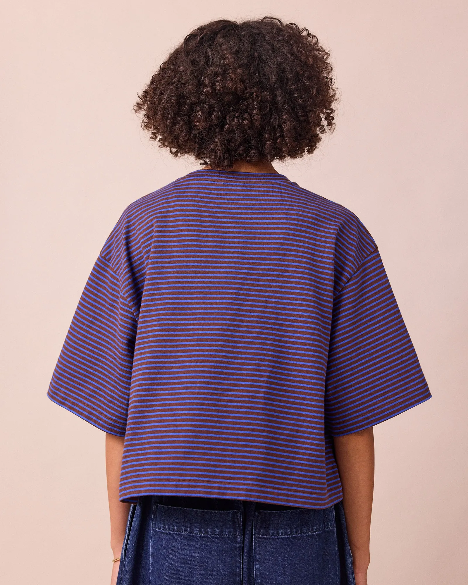 Nova Brown & Blue Stripe Jersey T-Shirt sold by Beyond Nine product image thumbnail 3