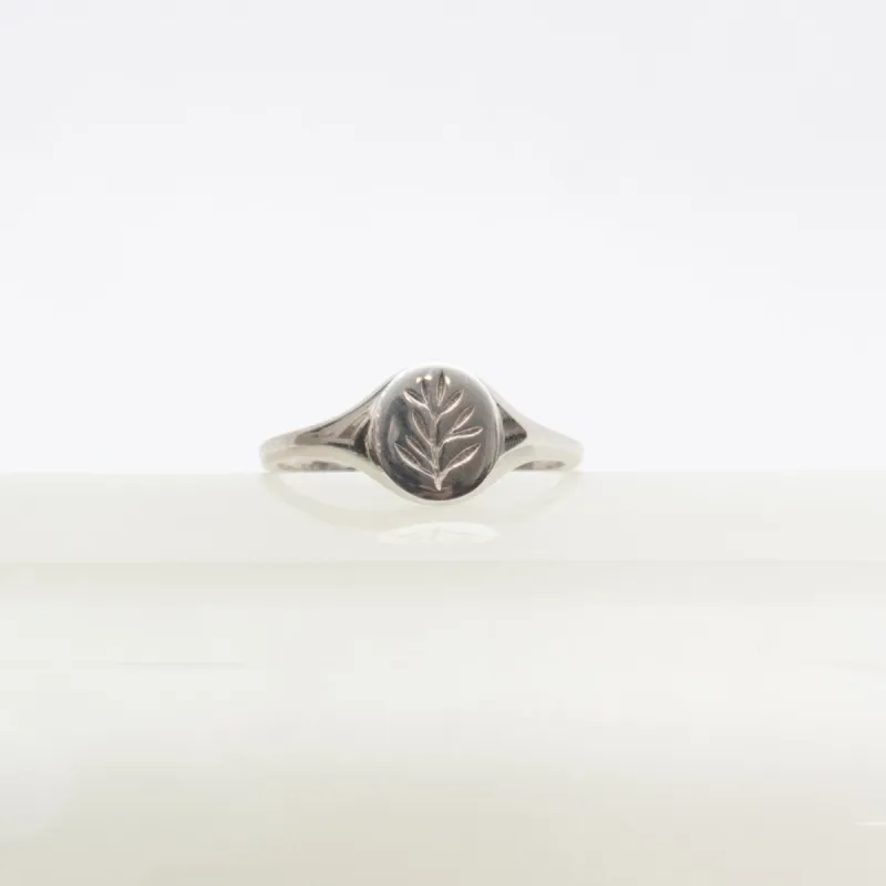 Mini Olive Round Signet Ring sold by Small Mercies