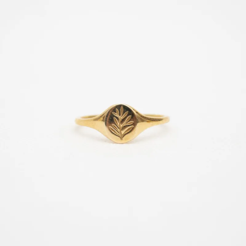 Mini Olive Round Signet Brass Ring sold by Small Mercies