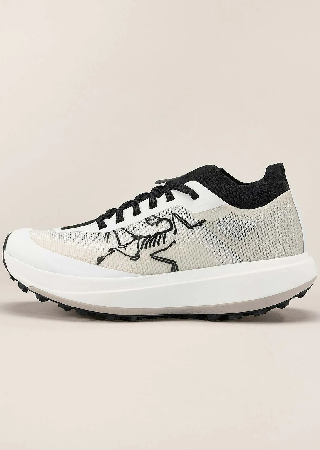 Arc'teryx Men's Sylan Pro GTX Shoes sold by Prfo