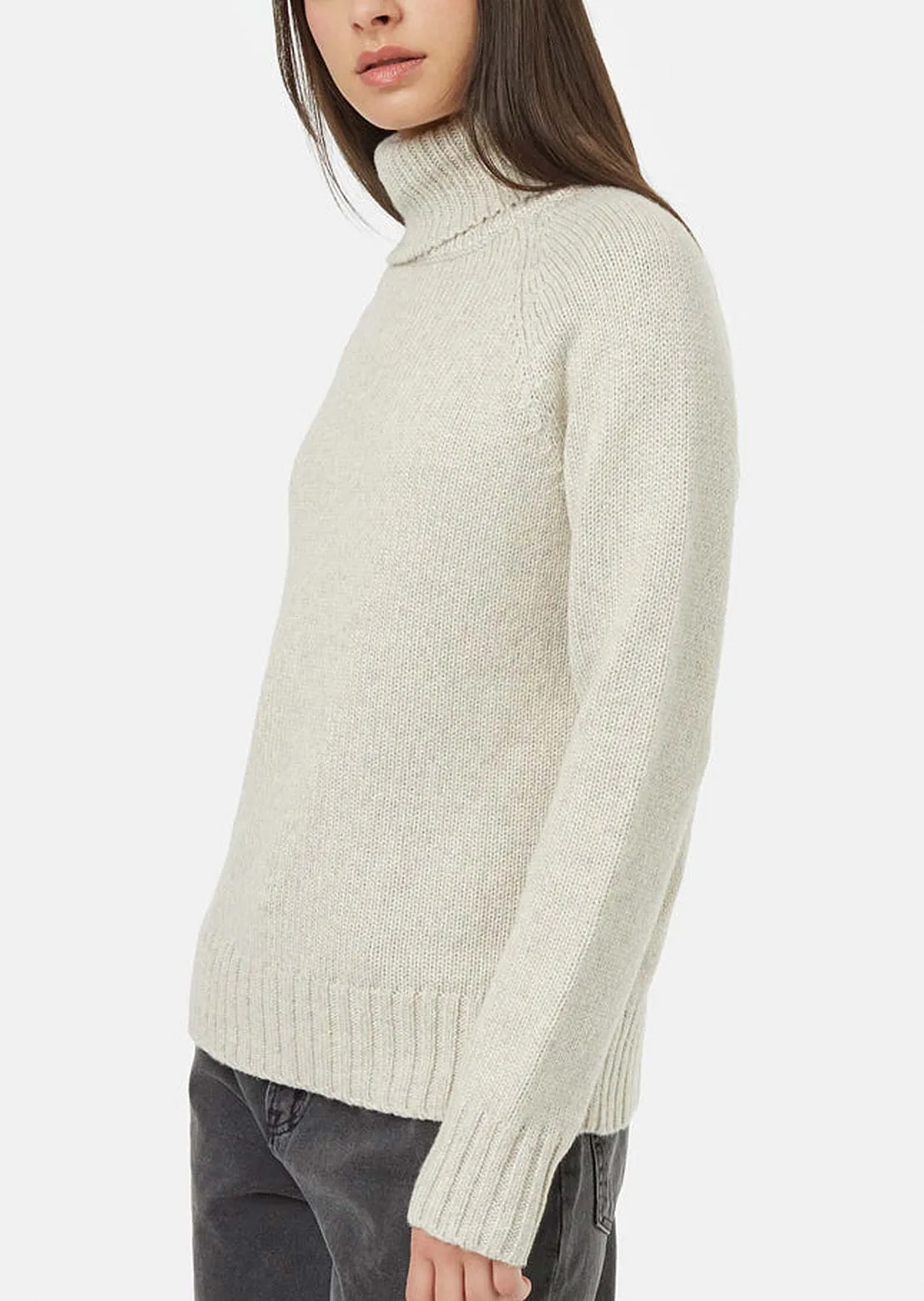 Tentree Women's Highline Wool Turtleneck Sweater sold by Prfo