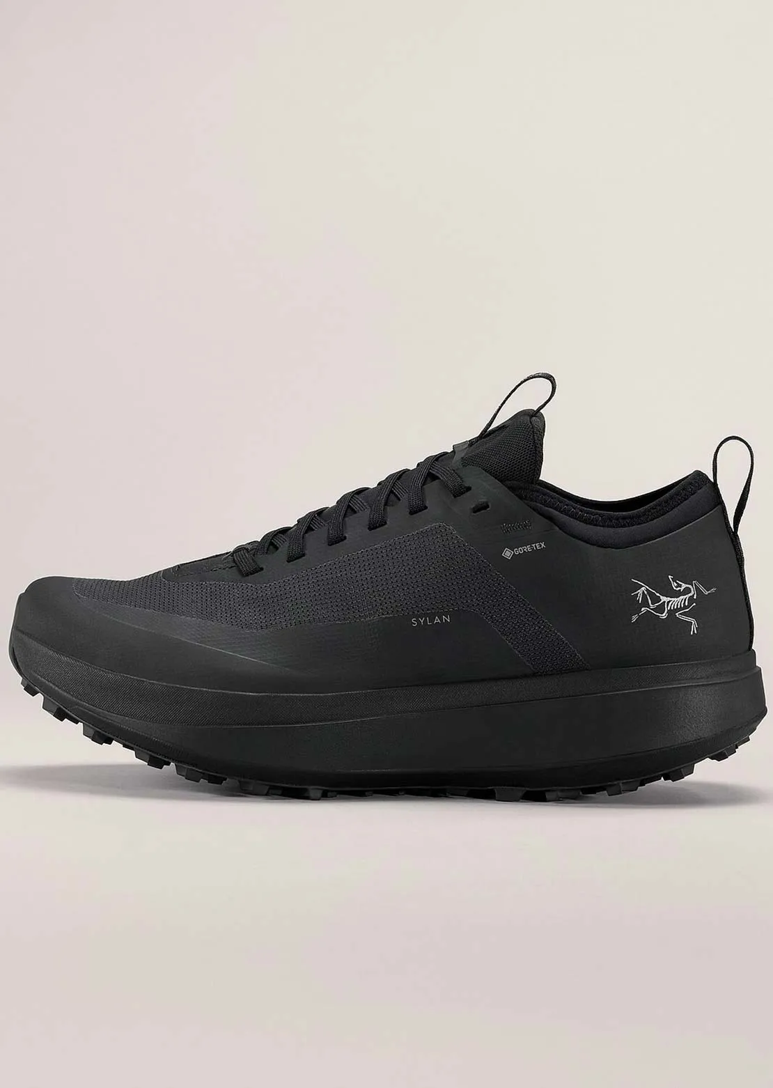 Arc'teryx Men's Sylan GTX Shoes sold by Prfo