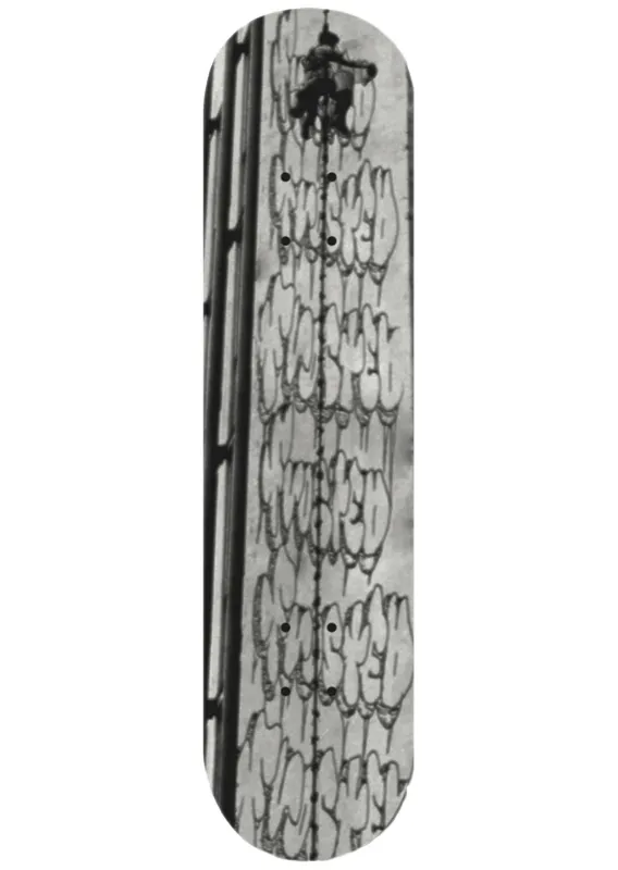 Frosted Unisex Mural Complete Skateboard sold by Prfo