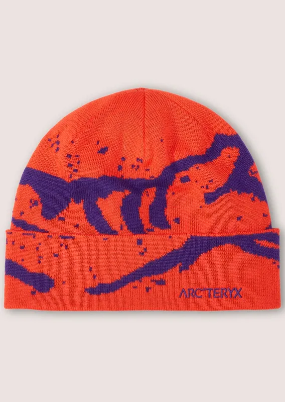 Arc'teryx Bird Head Toque Edziza / Relic | Parallel