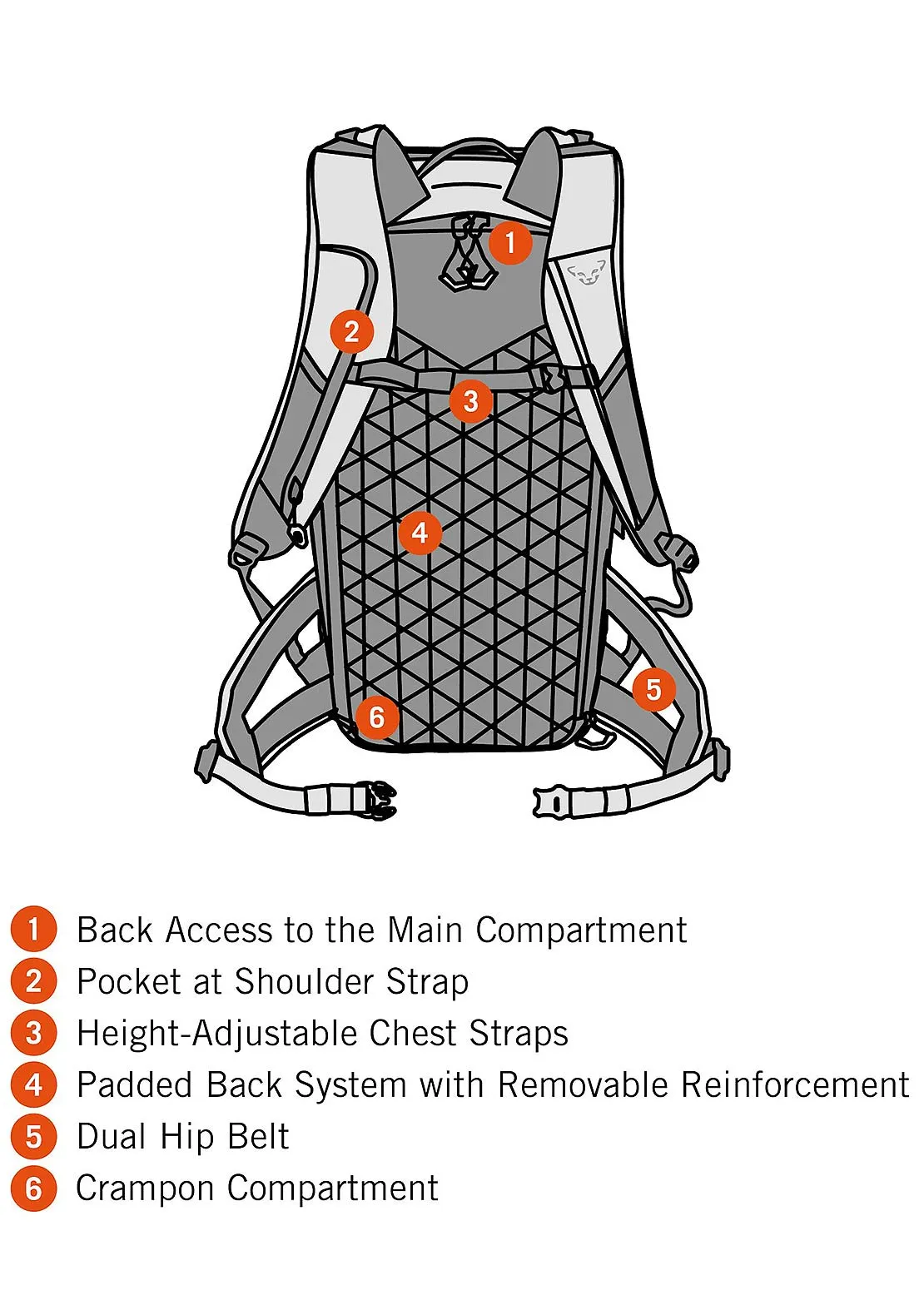 Dynafit Unisex Free 34 Backpack sold by Prfo product image thumbnail 4