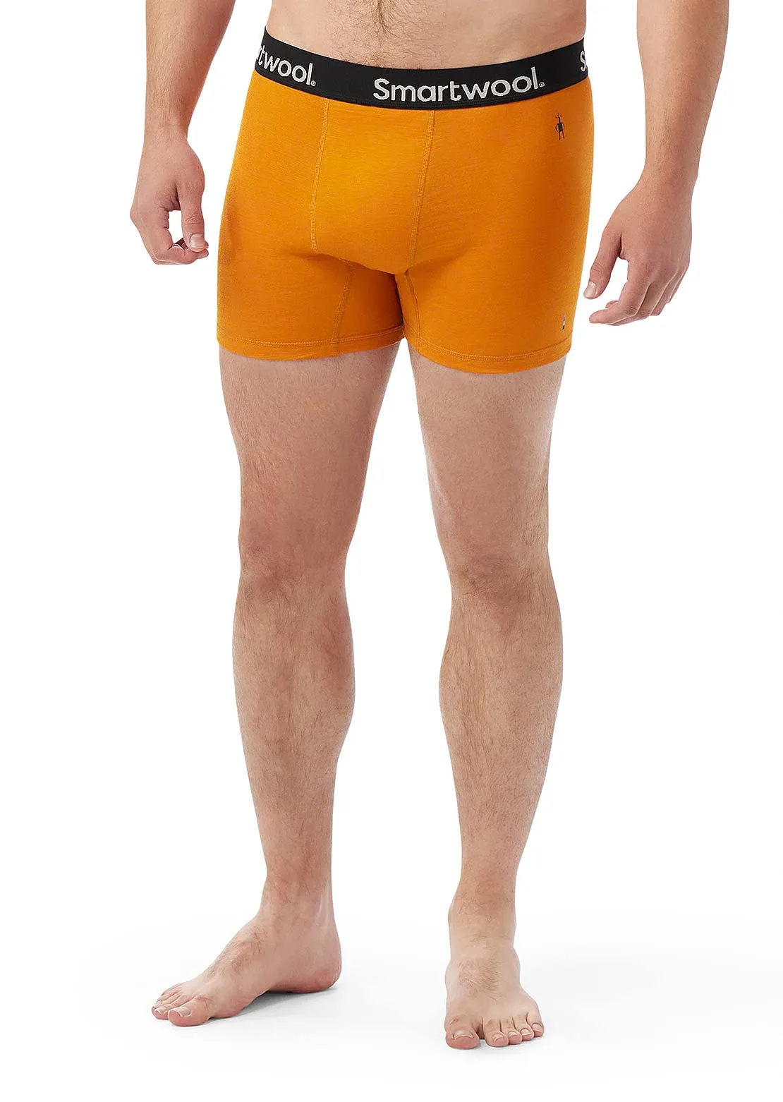 Smartwool Men's Boxer Boxed Briefs sold by Prfo product image thumbnail 2