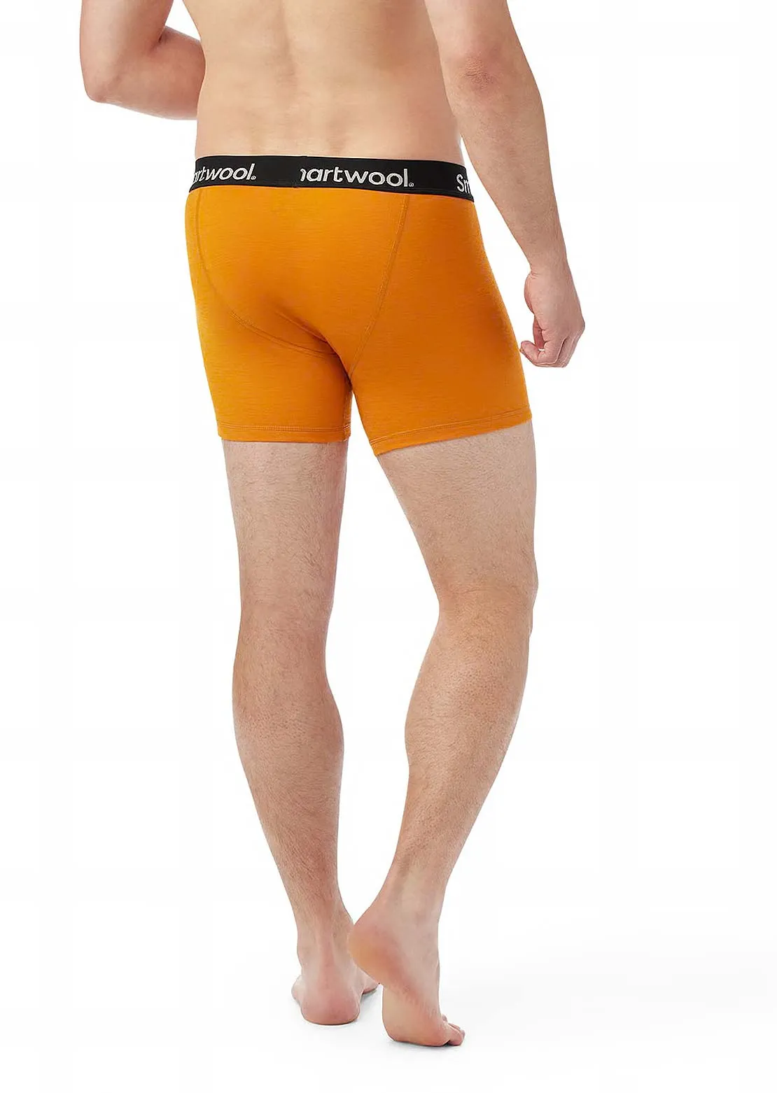 Smartwool Men's Boxer Boxed Briefs sold by Prfo product image thumbnail 3