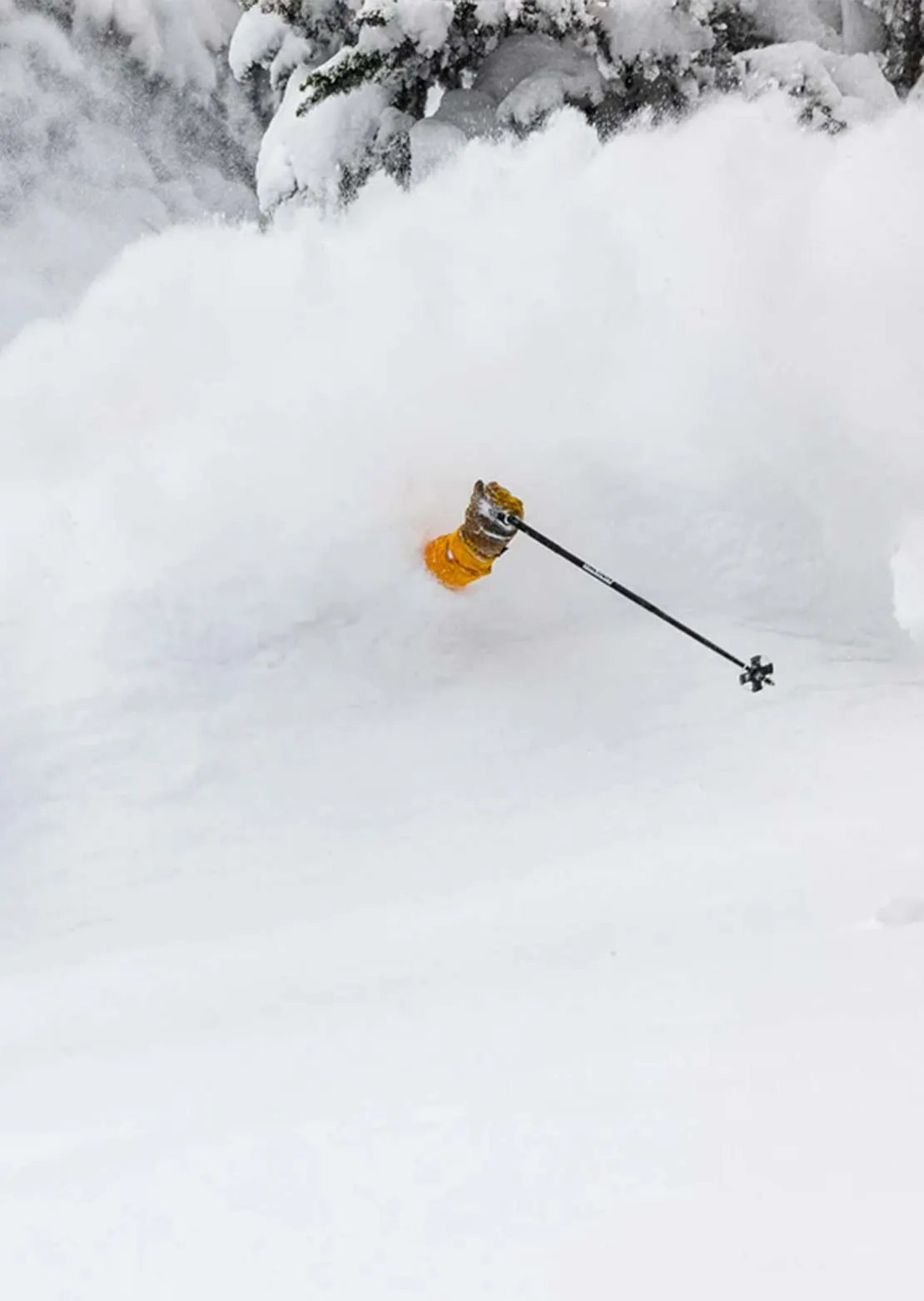 Faction Unisex Ski Pole sold by Prfo product image thumbnail 5