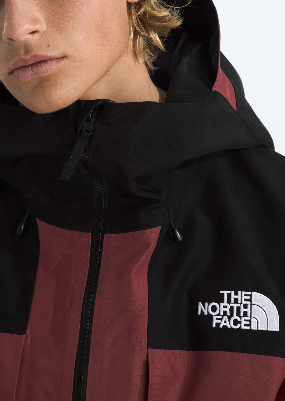 The North Face Men's GTX Hex Jacket sold by Prfo product image thumbnail 5