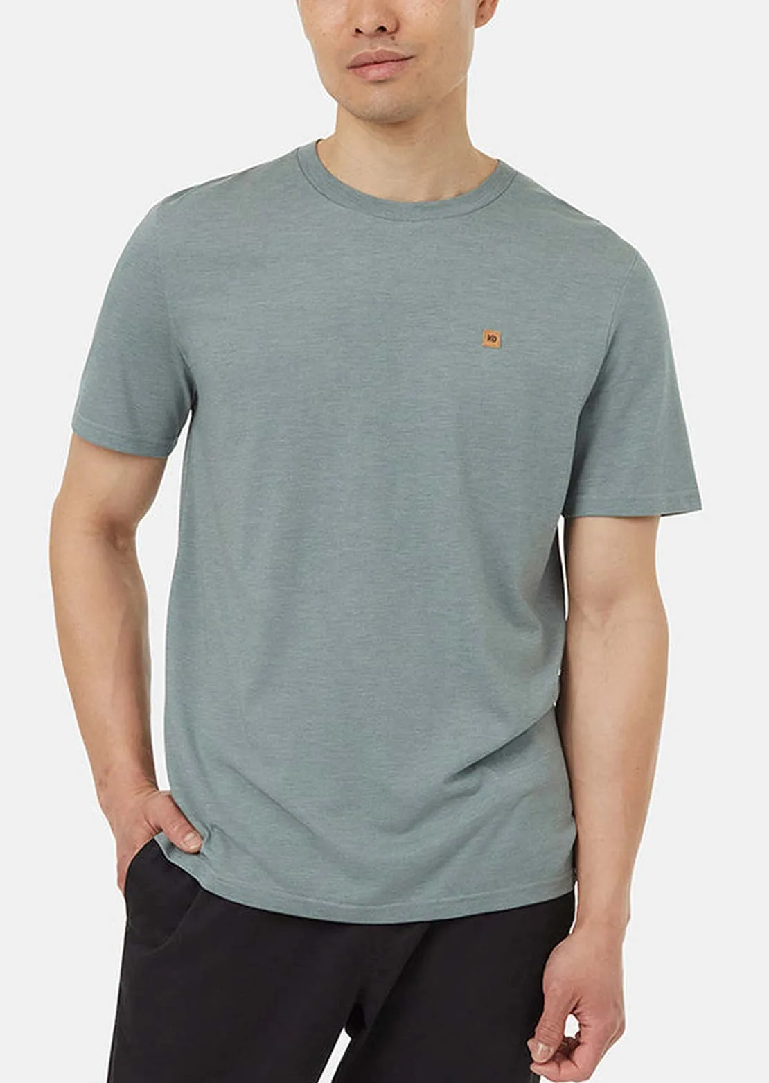 Tentree Men's TreeBlend Classic T-Shirt sold by Prfo