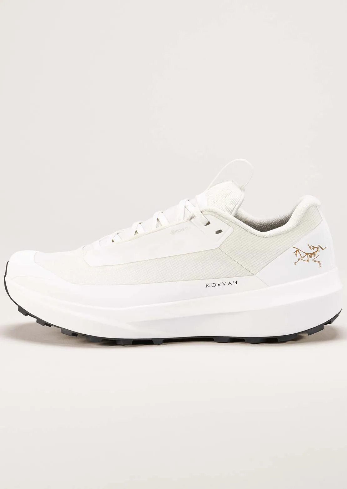 Arc'teryx Men's Norvan LD 4 GORE-TEX Shoes sold by Prfo