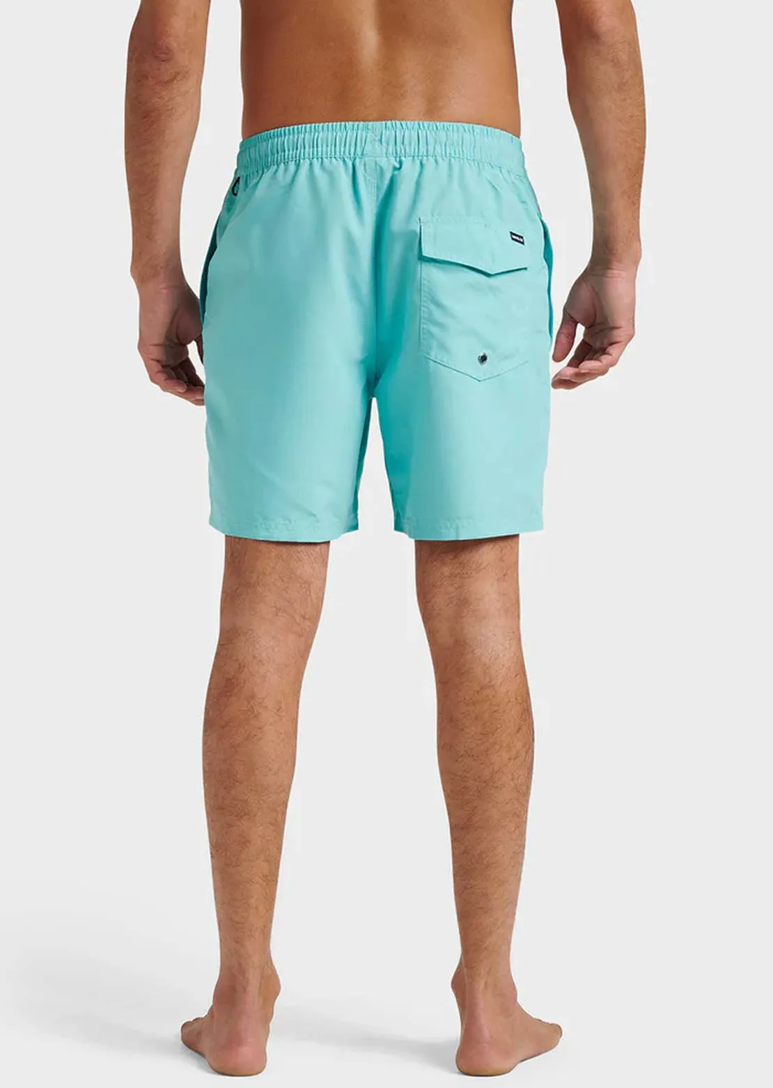 Quiksilver Men's Everyday Solid Volley 17 Shorts sold by Prfo product image thumbnail 5