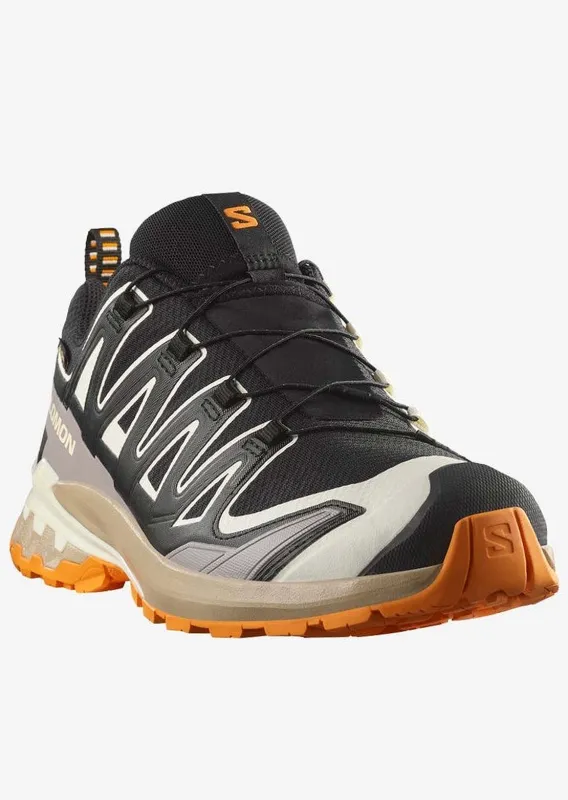Salomon Men's XA Pro 3D V9 GTX Trail Running Shoes made by Salomon