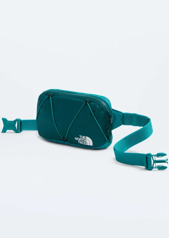 The North Face Terra Lumbar 1L Waist Pack made by The North Face