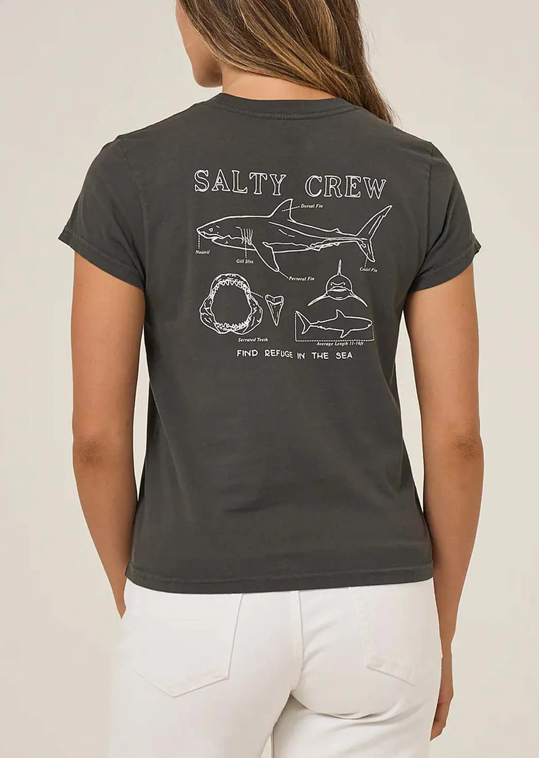 Salty Crew Women's Shark Anatomy Modern T-Shirt sold by Prfo product image thumbnail 2