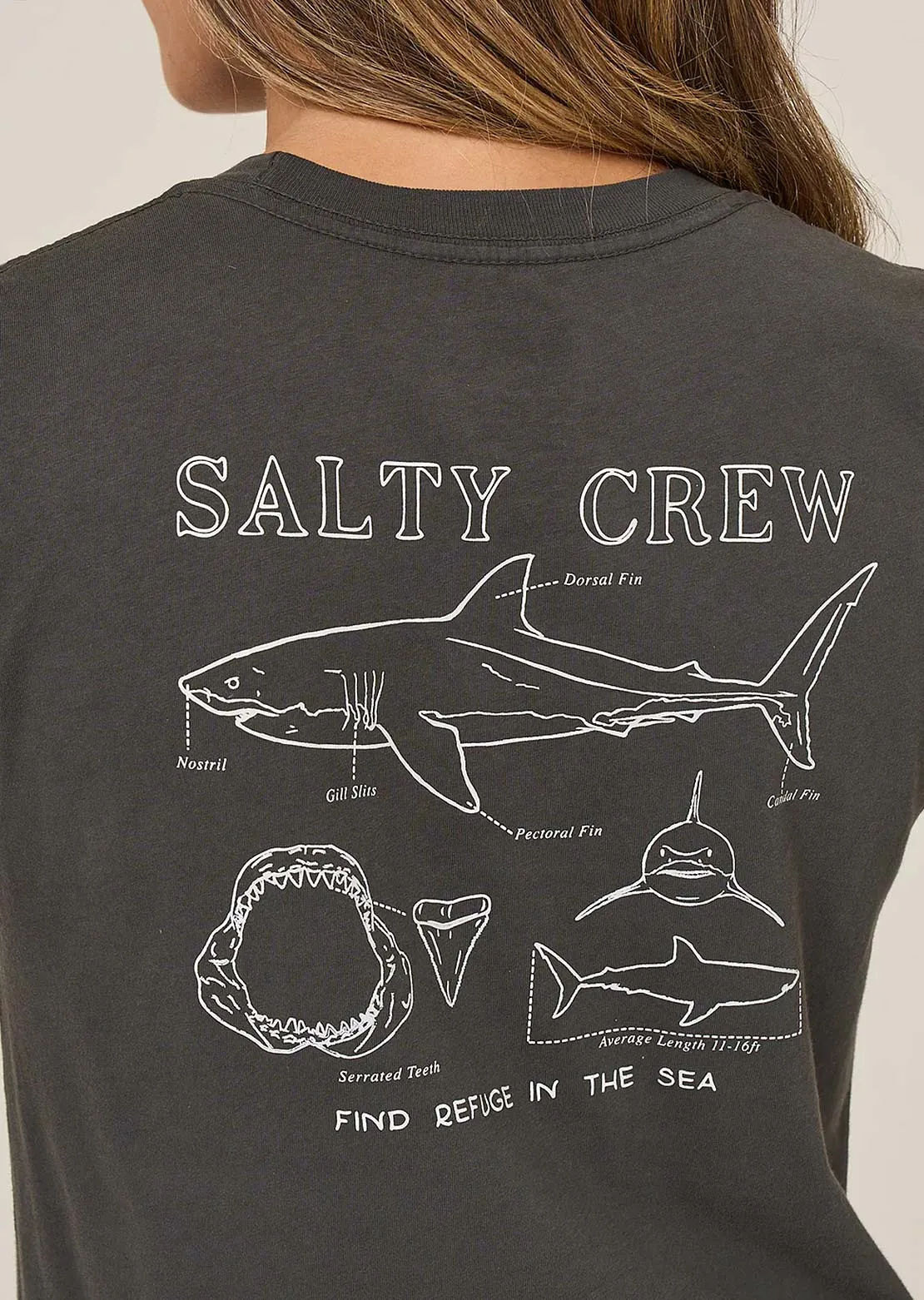Salty Crew Women's Shark Anatomy Modern T-Shirt sold by Prfo product image thumbnail 4