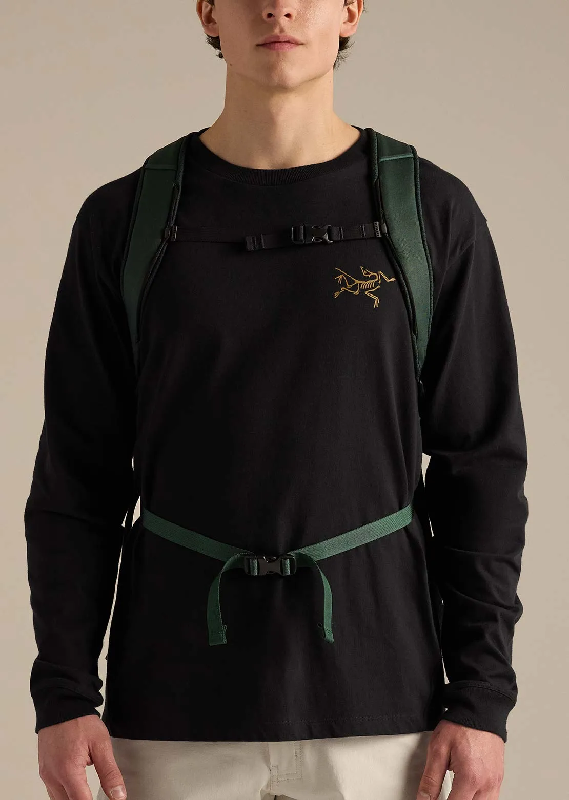 Arc'teryx Unisex Mantis 26 Backpack sold by Prfo product image thumbnail 2