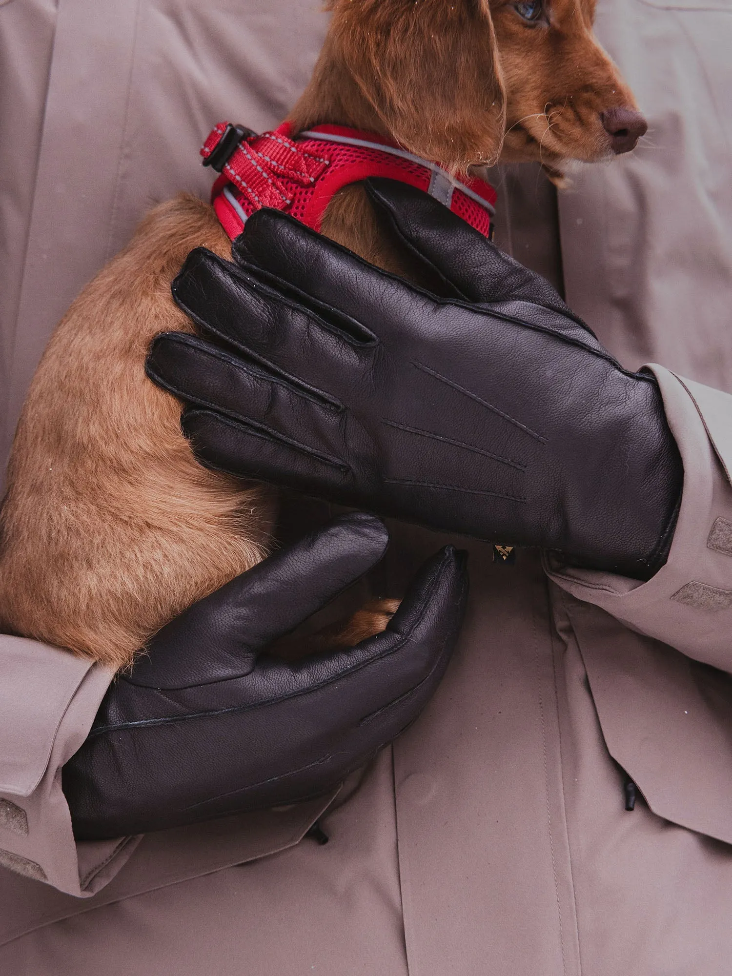 Parker Gloves - Men sold by Prfo product image thumbnail 4