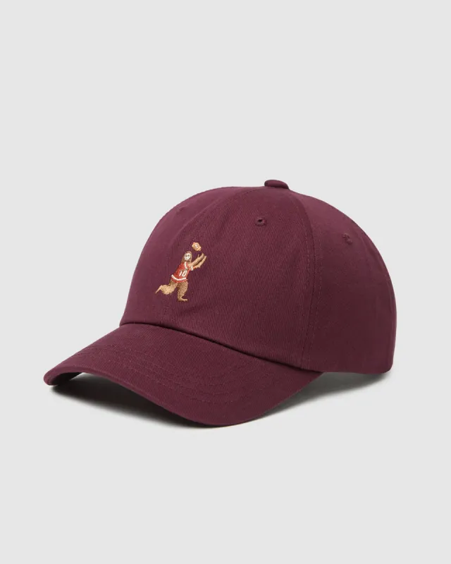 Sasquatch Peak Hat made by tentree