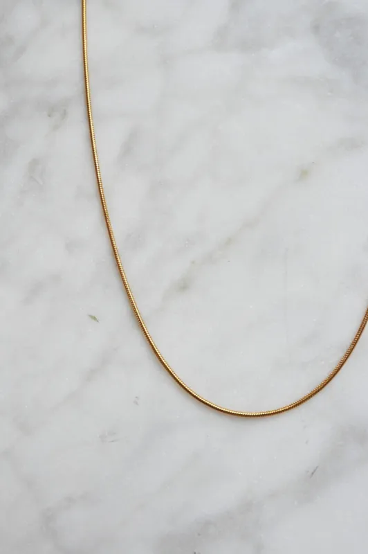 Dainty Snake Chain sold by Valencia Boutique