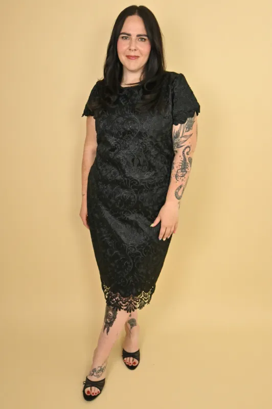 CURVE Lace Cocktail Dress sold by Valencia Boutique