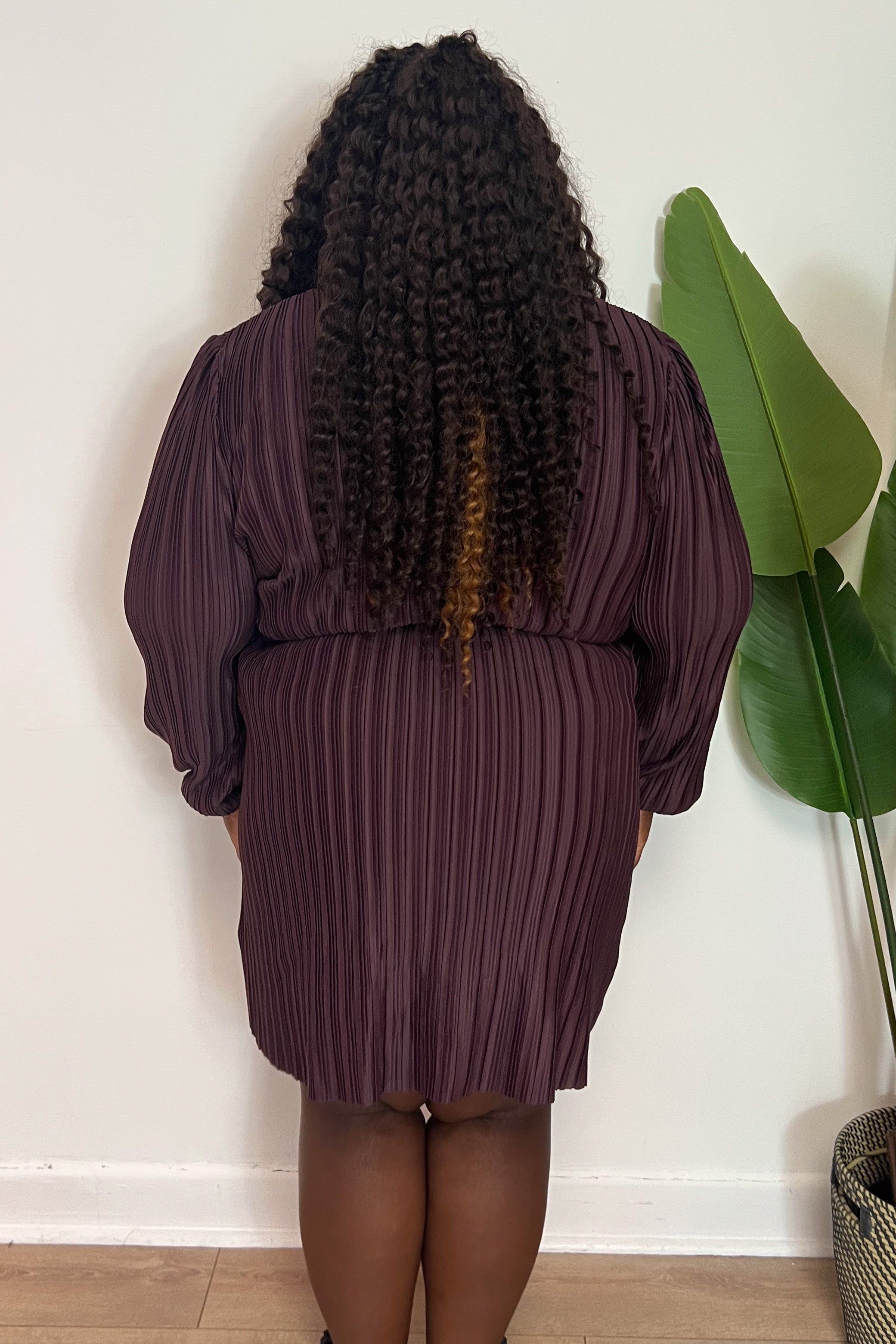 CURVE Pleated Mini Dress sold by Valencia Boutique product image thumbnail 5