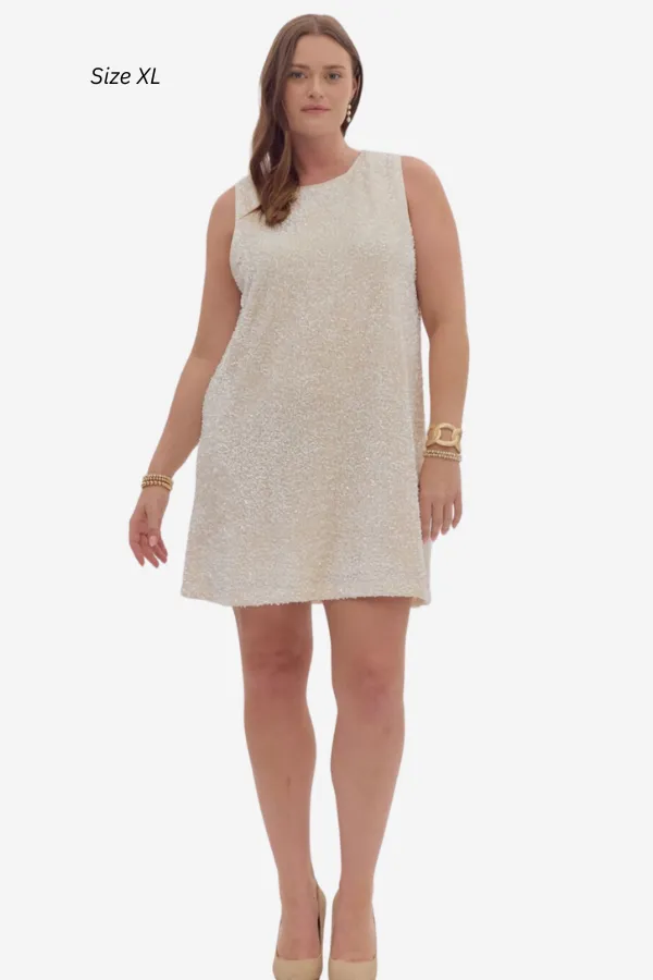 Sequin Shift Dress (S-2X) sold by Valencia Boutique product image thumbnail 4