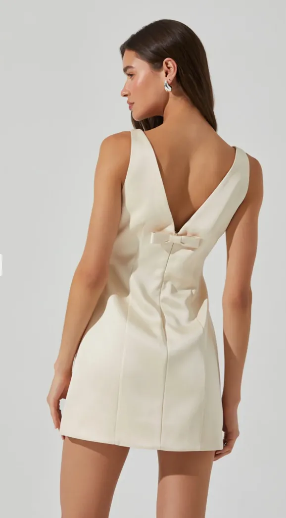 Alisanne Mini Dress sold by Valencia Boutique product image thumbnail 3
