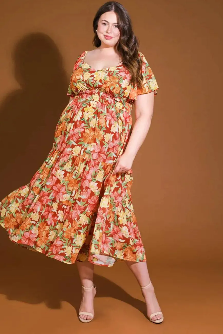 CURVE Golden Glow sold by Valencia Boutique