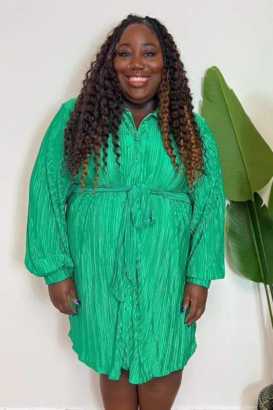 CURVE Plisse Shirt Dress sold by Valencia Boutique