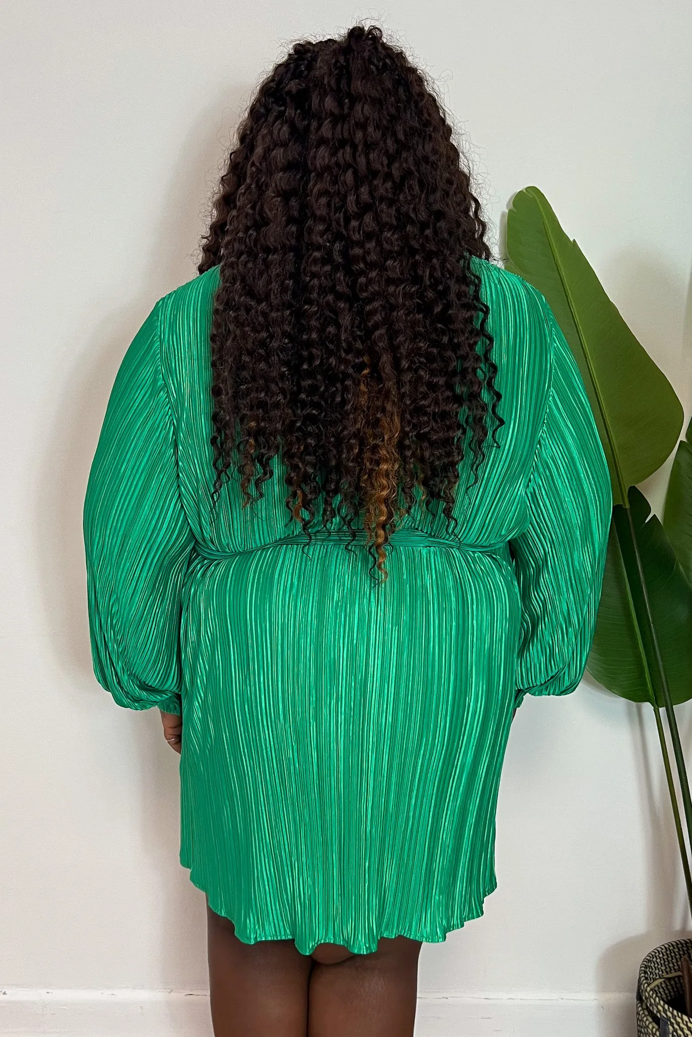 CURVE Plisse Shirt Dress sold by Valencia Boutique product image thumbnail 2