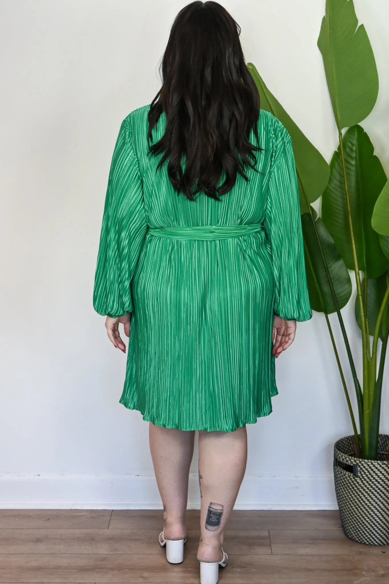 CURVE Plisse Shirt Dress sold by Valencia Boutique product image thumbnail 5
