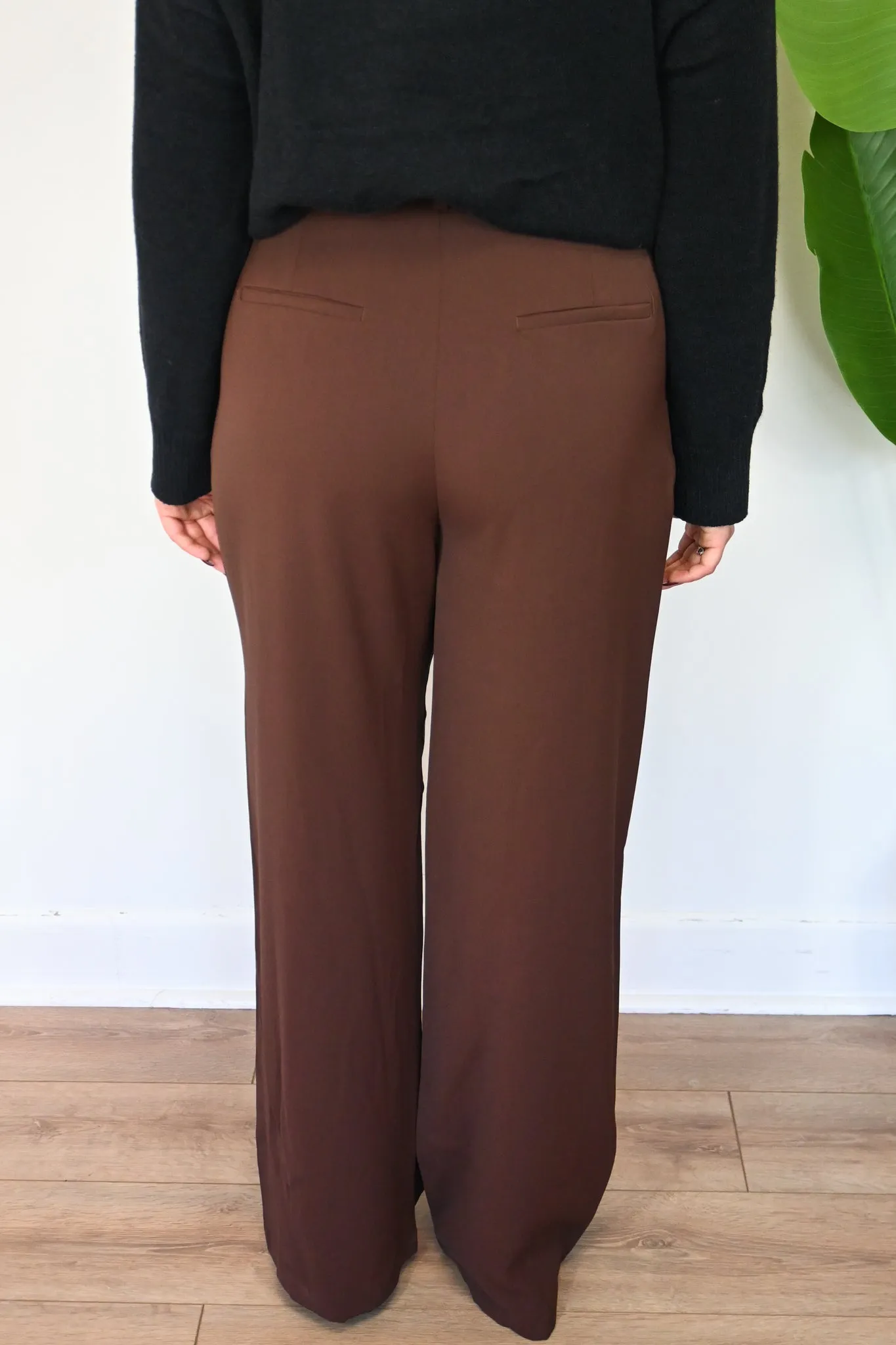 Matty Pleated Trouser sold by Valencia Boutique product image thumbnail 3