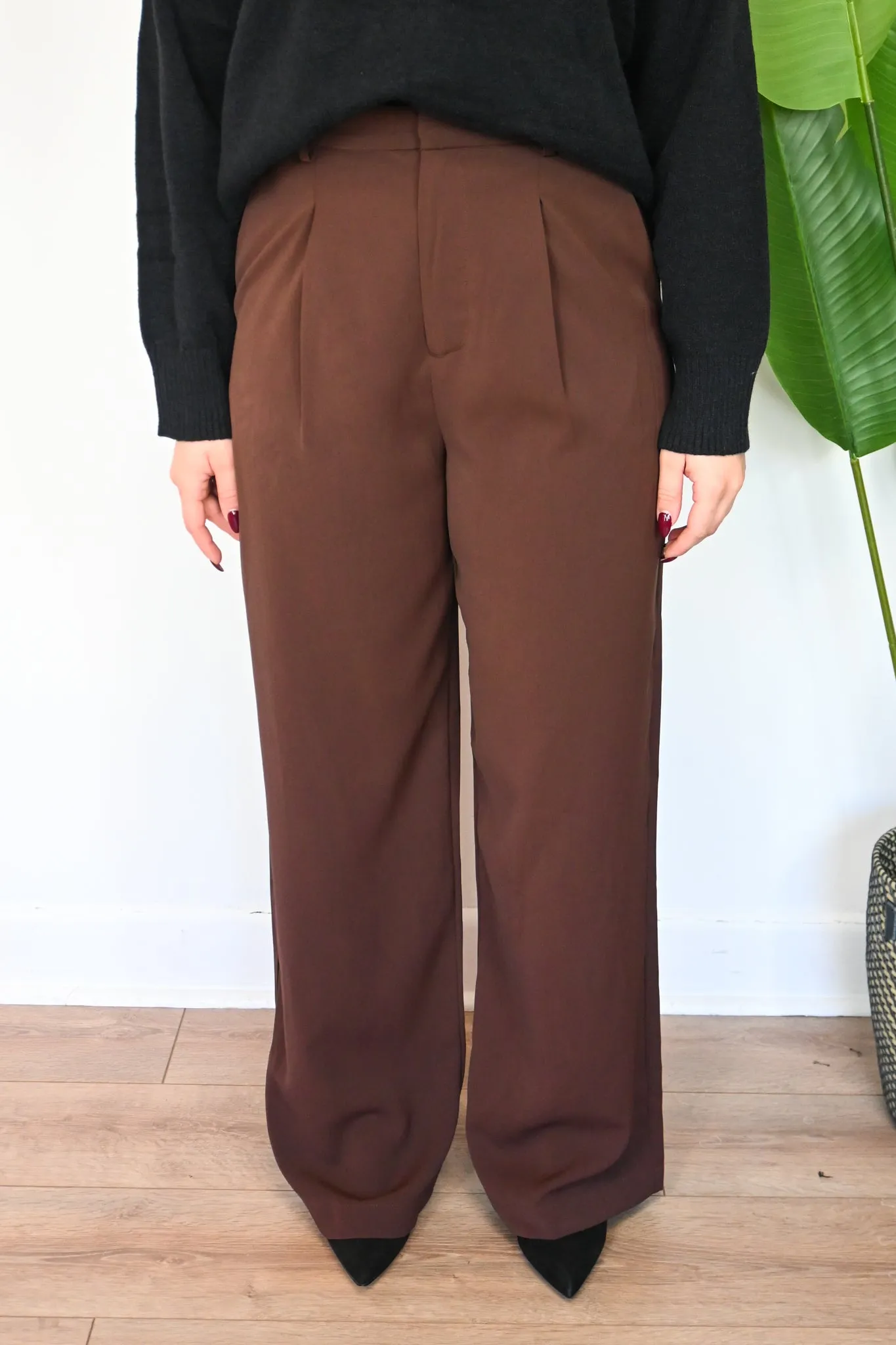 Matty Pleated Trouser sold by Valencia Boutique product image thumbnail 2