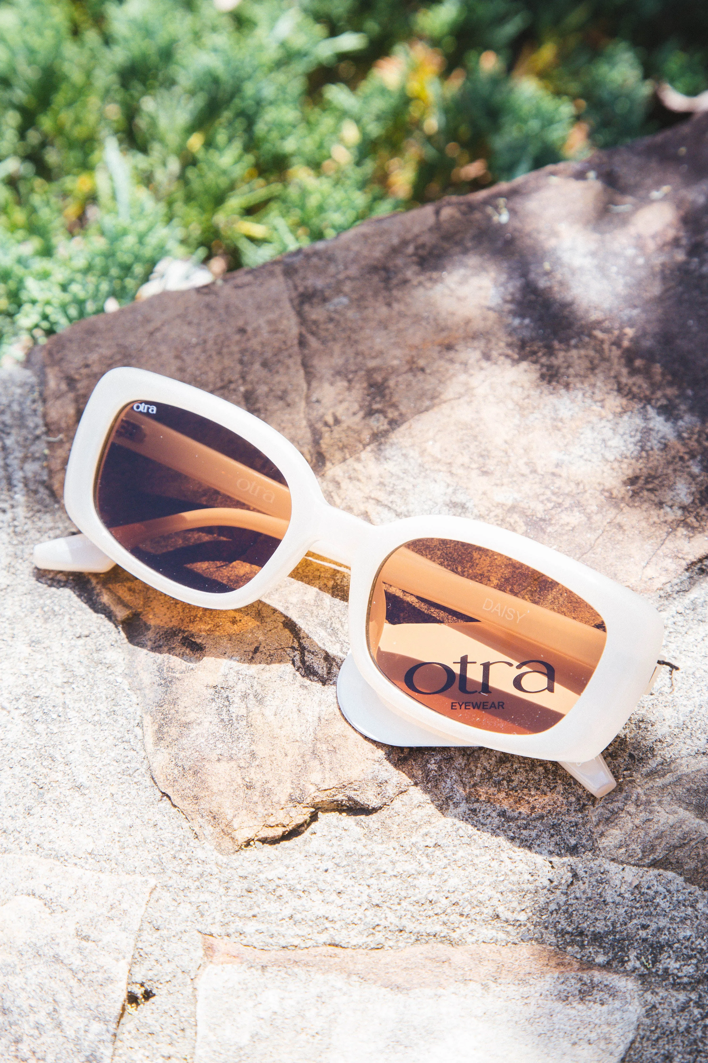 Daisy, Frosted Ivory/Brown | Otra sold by North & Main Clothing Company