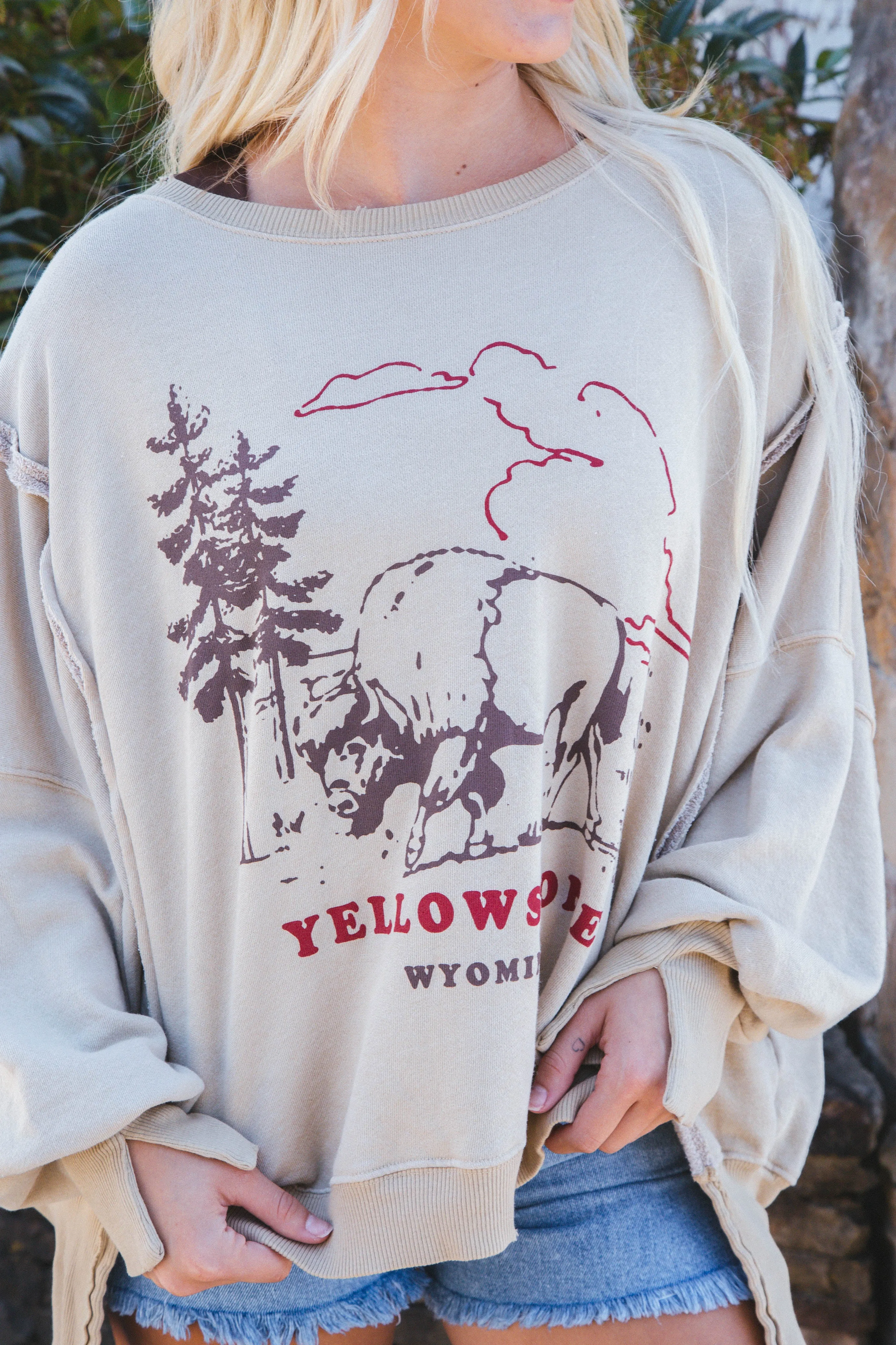 Graphic Camden Sweatshirt, Yellowstone Bison | Free People sold by North & Main Clothing Company product image thumbnail 5