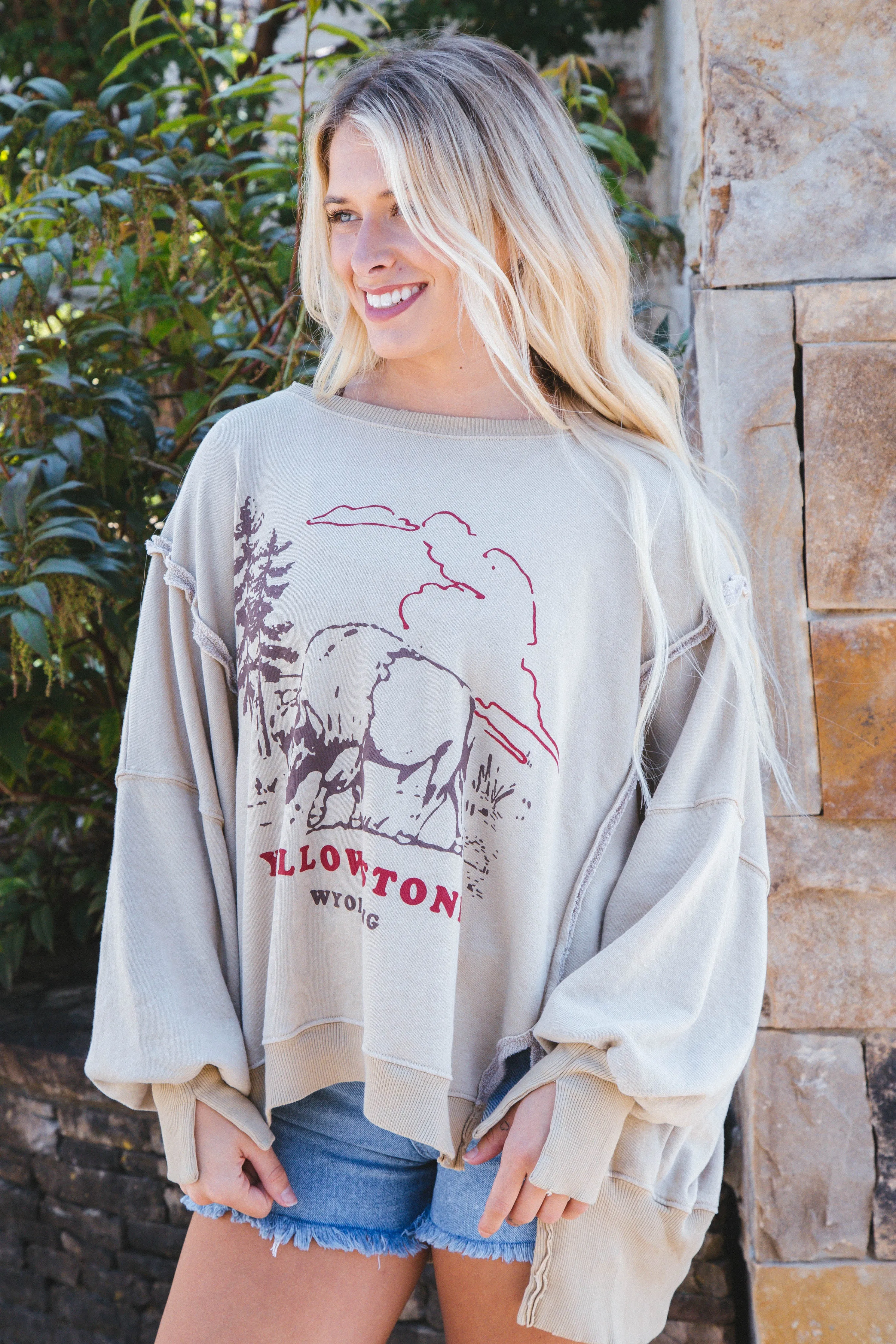 Graphic Camden Sweatshirt, Yellowstone Bison | Free People sold by North & Main Clothing Company product image thumbnail 2