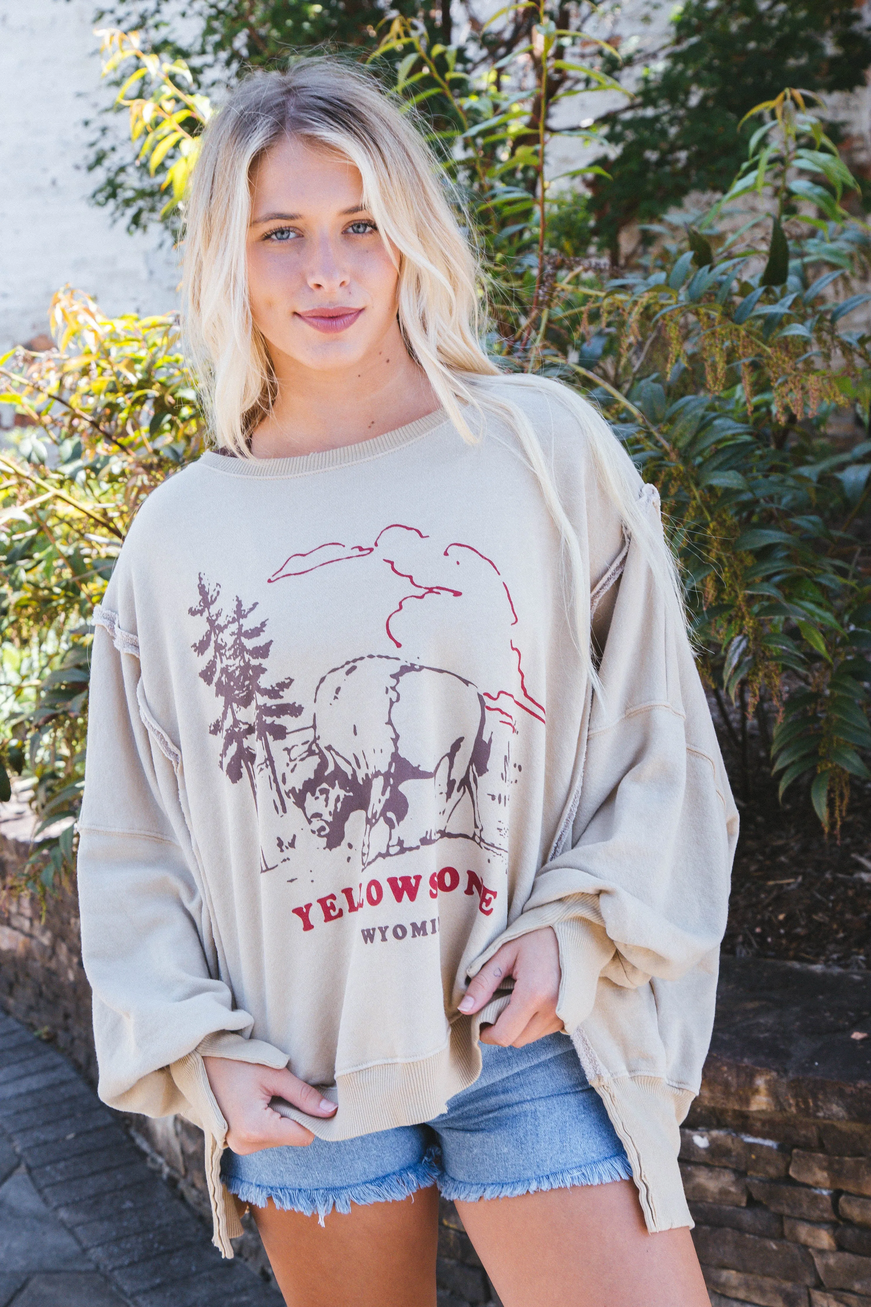 Graphic Camden Sweatshirt, Yellowstone Bison | Free People sold by North & Main Clothing Company product image thumbnail 3
